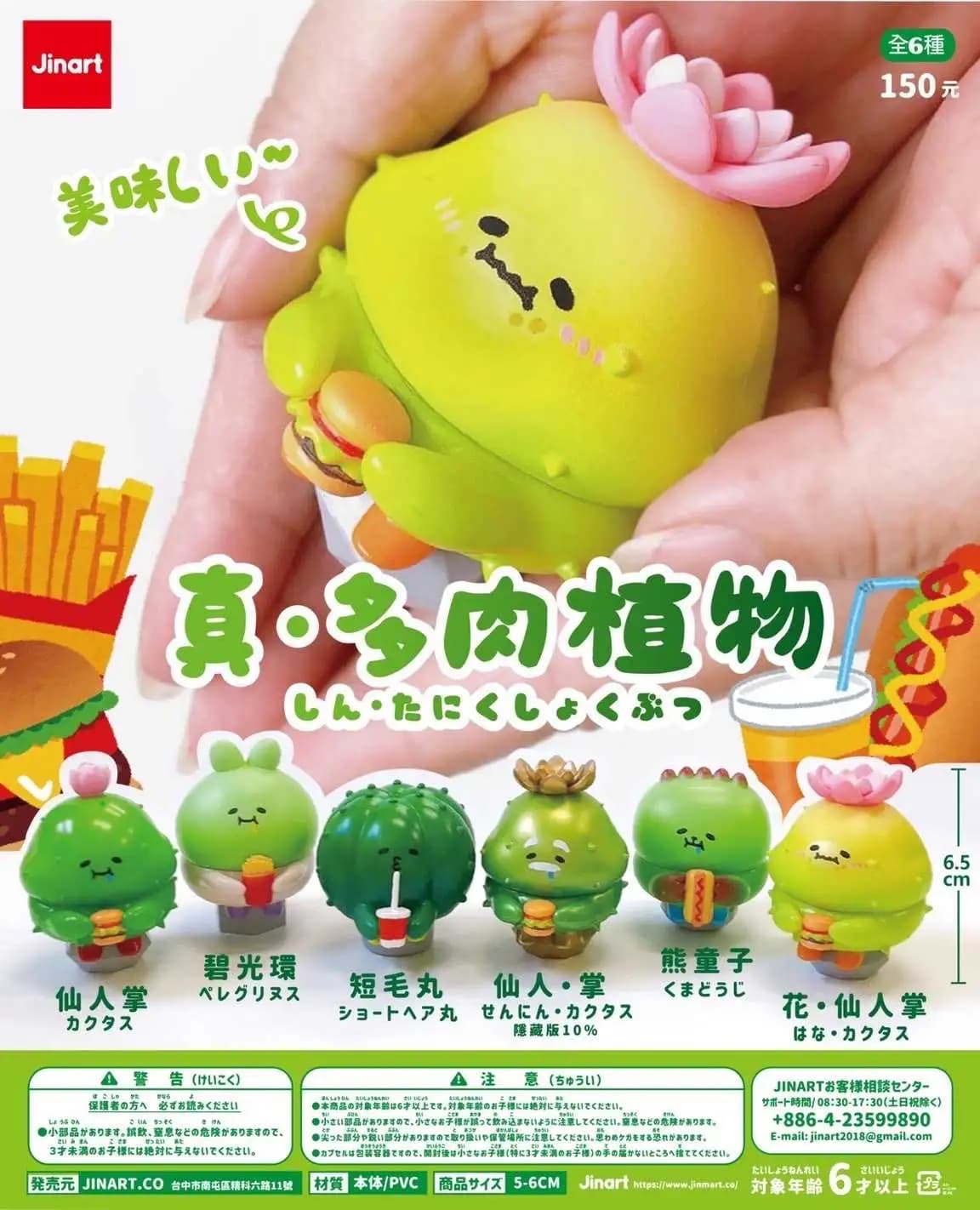 Jinart 真多肉植物