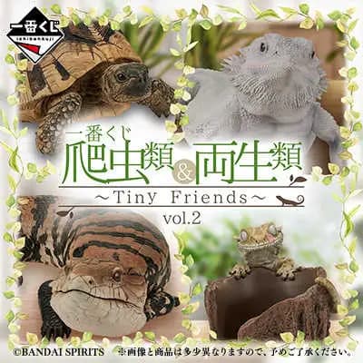 一番賞爬蟲類＆兩棲類～Tiny Friends～vol.2 | 購物橘子線上抽- 購物