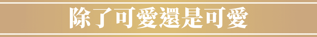 除了可愛還是可愛