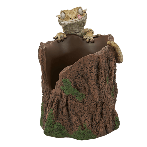 D賞 睫角守宮攀木小物盒