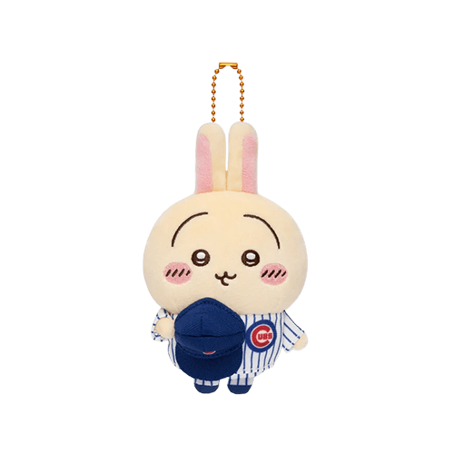 F賞 小熊隊 兔兔