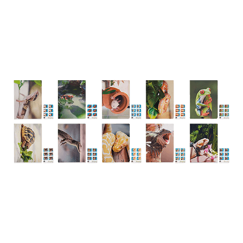 G賞 透明文件夾＆貼紙套組(隨機)