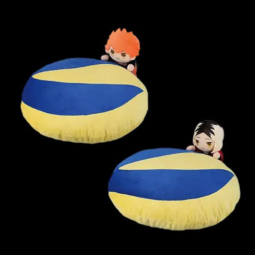 C賞 飛撲抱枕(隨機)