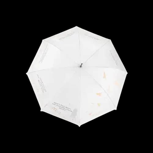 C賞 變色長柄雨傘