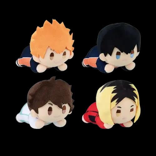 D賞 Q版絨毛玩偶(隨機)