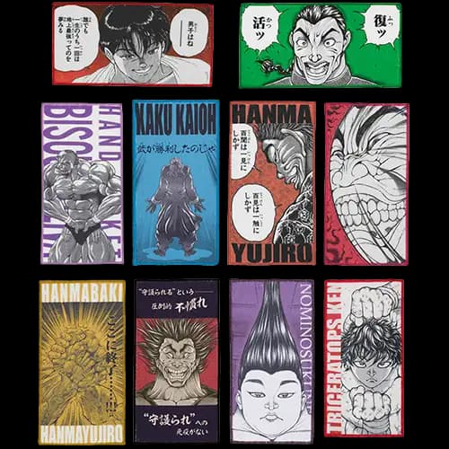 D賞 毛巾系列(隨機)