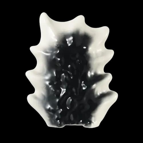 B賞 背鰭造型陶瓷板