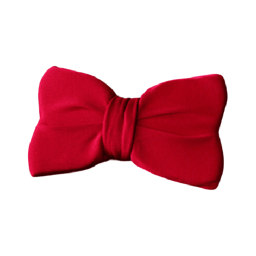 B賞 BANDAI 魂商店 蝴蝶結型變聲器