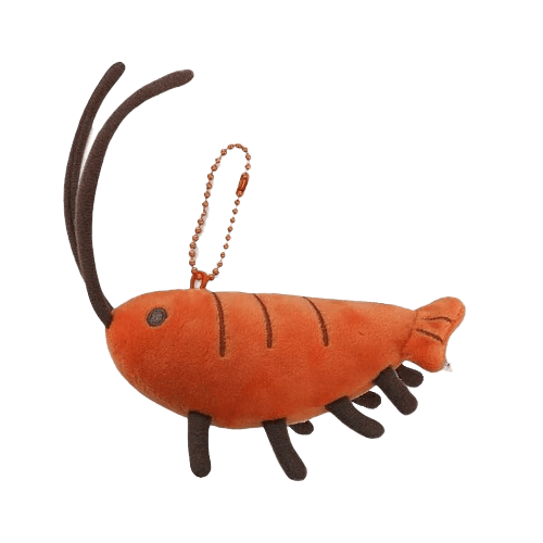 K賞 Gawr Gura 蝦蝦娃娃