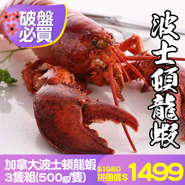 加拿大波士頓龍蝦*3隻組(500g/隻)