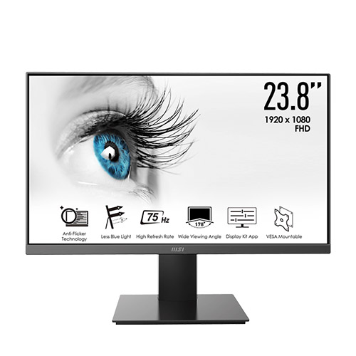 MSI微星 24型 
PRO MP241X VA電腦螢幕