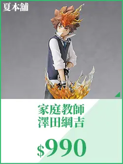 家庭教師 澤田綱吉